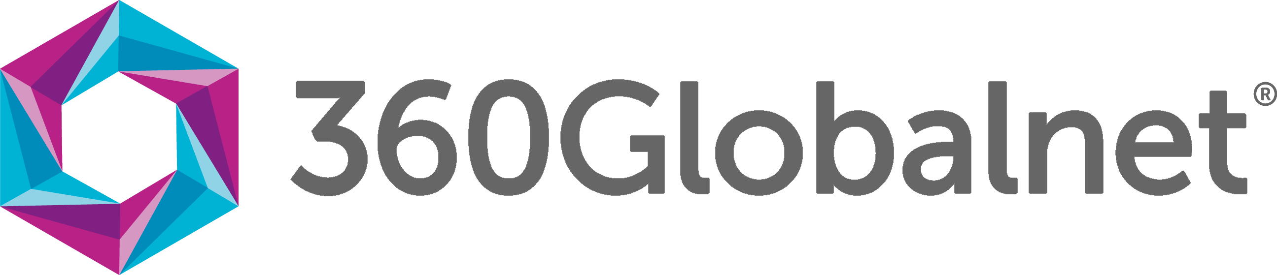 standard logo grey text with trademark no background